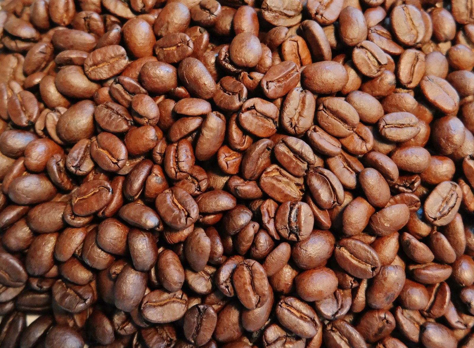 Coffee beans Coffee beans