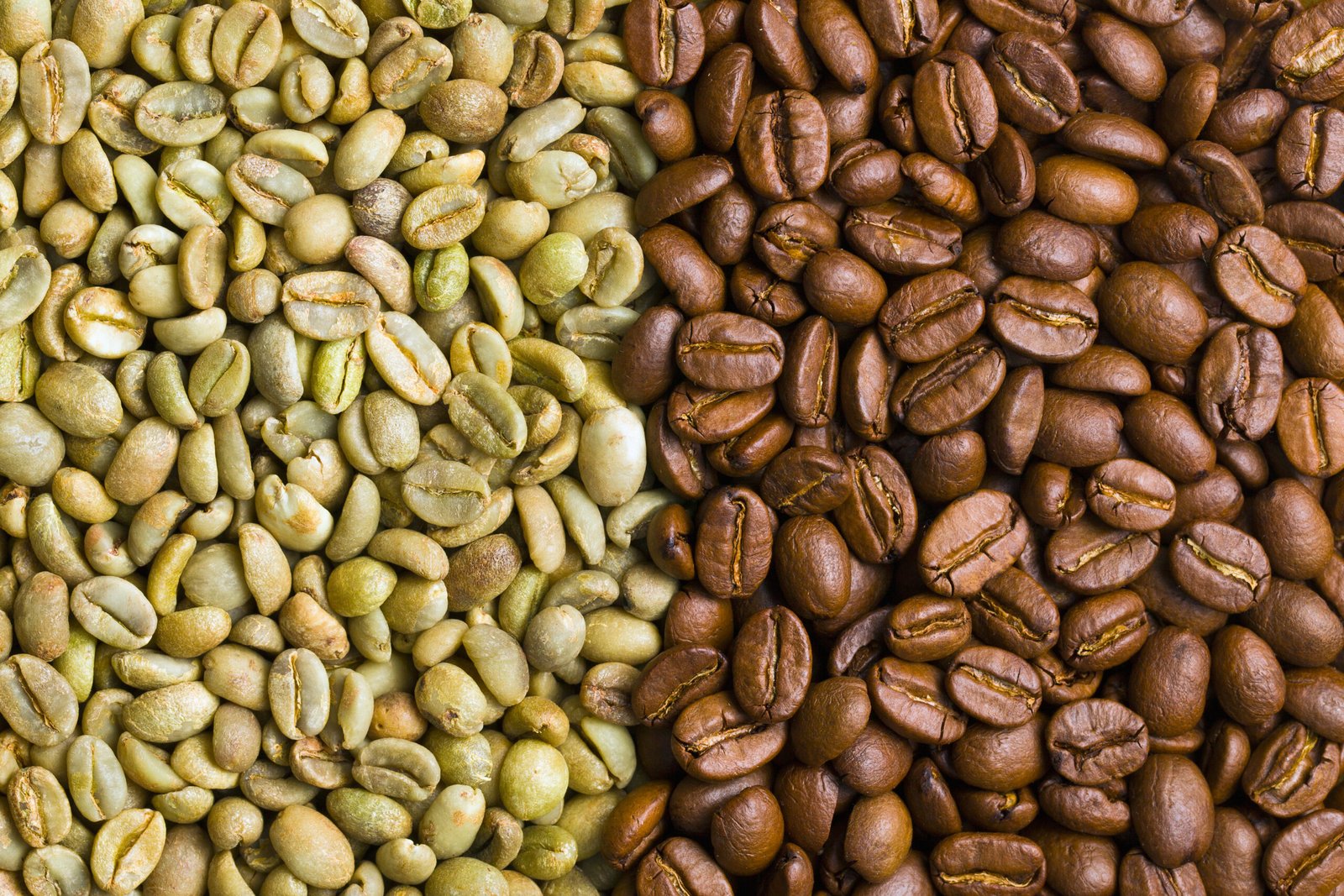 green and  roasted  coffee beans background